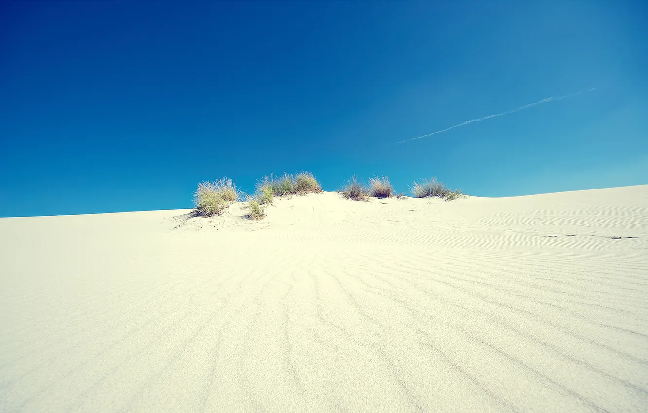 Фото обои песок, небо, трава, свет, пейзаж, природа, пустыня, light
