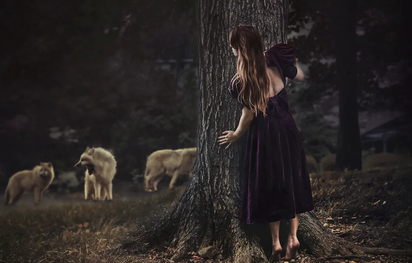 Фото обои лес, девушка, волки