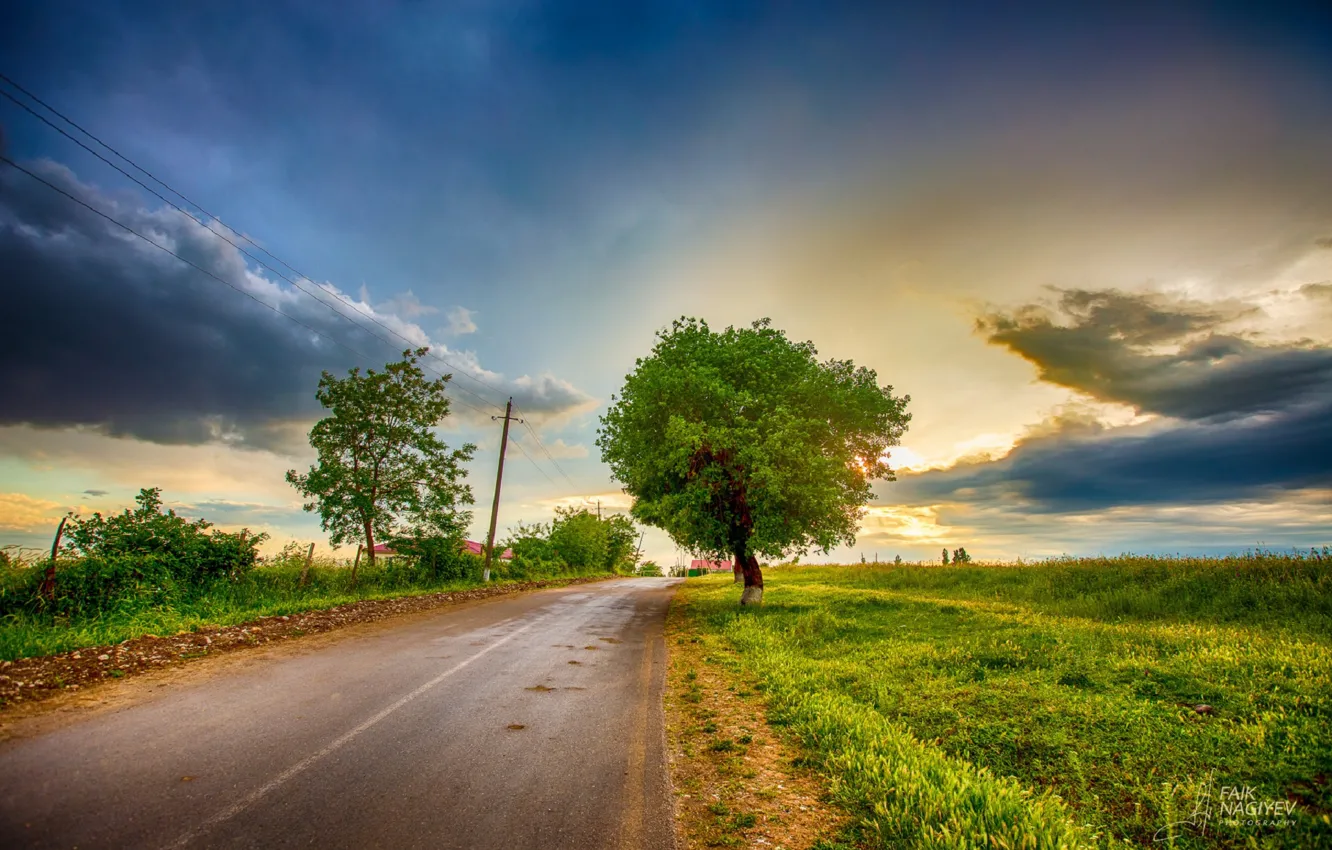 Фото обои дорога, небо, облака, деревья, Faik Nagiyev