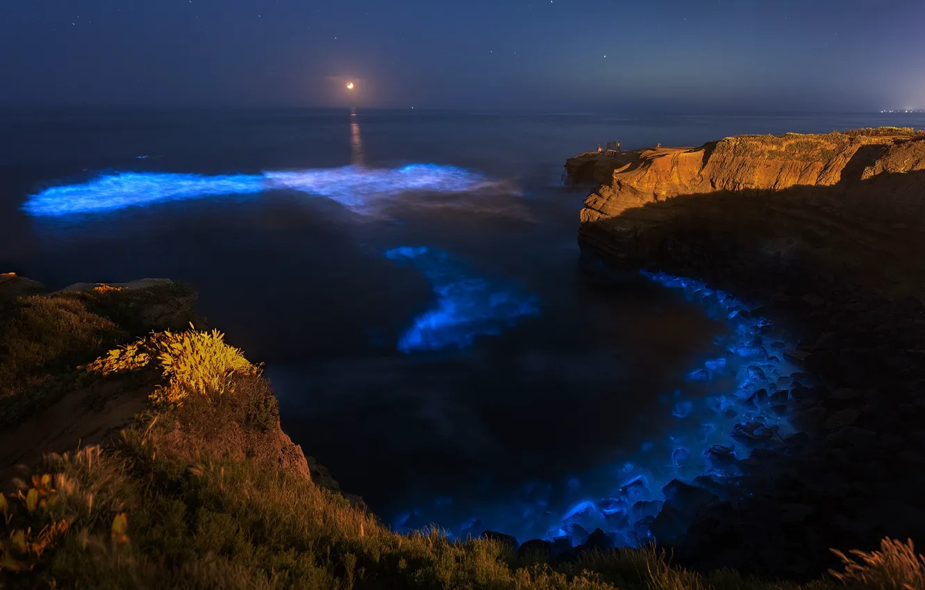 Фото обои море, ночь, скалы, побережье