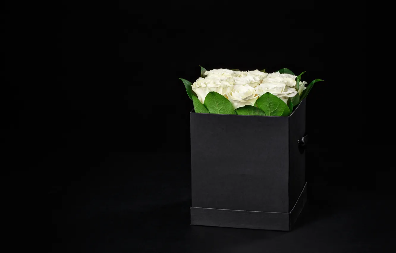 Фото обои фон, коробка, розы, букет, rose, белые, box, romantic