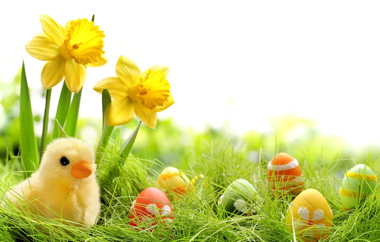 Фото обои трава, цветы, яйца, весна, colorful, пасха, grass, flowers