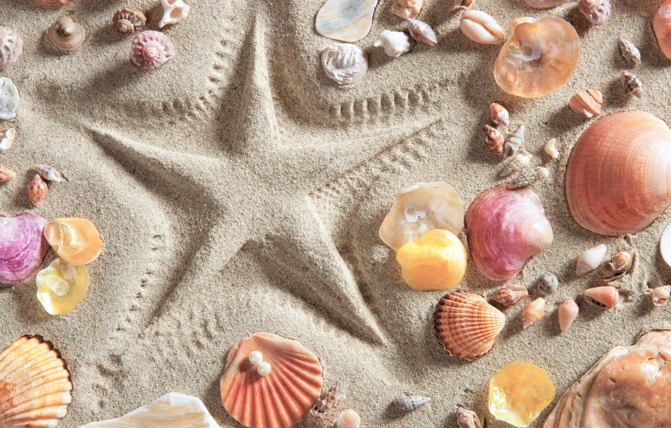 Фото обои песок, пляж, фон, звезда, ракушки, summer, beach, background