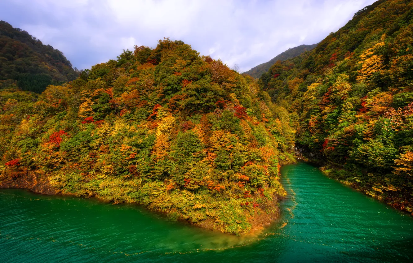 Фото обои осень, лес, горы, озеро, Япония, Тазава