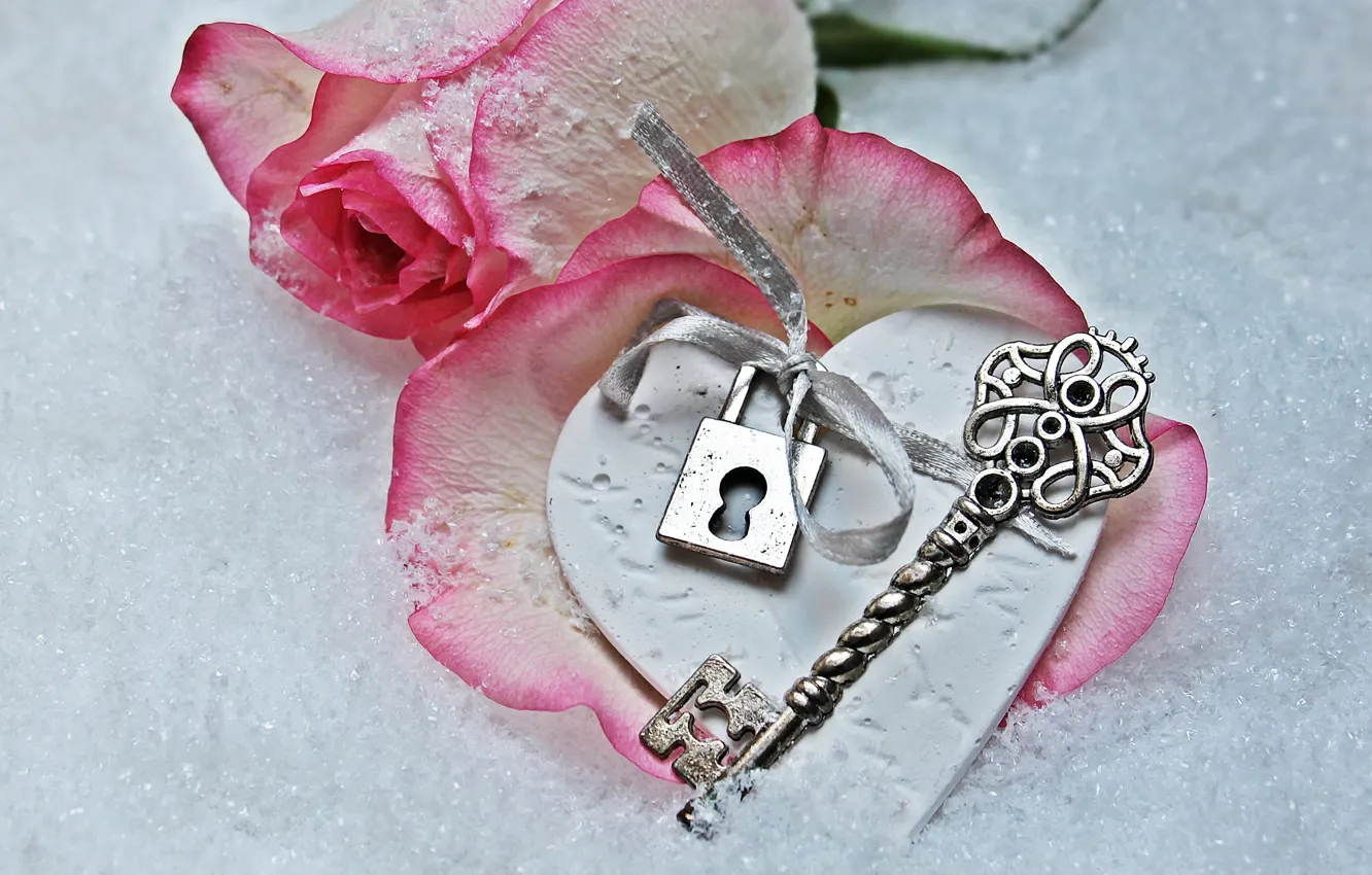 Фото обои love, rose, heart, winter, snow, key, romantic, petals