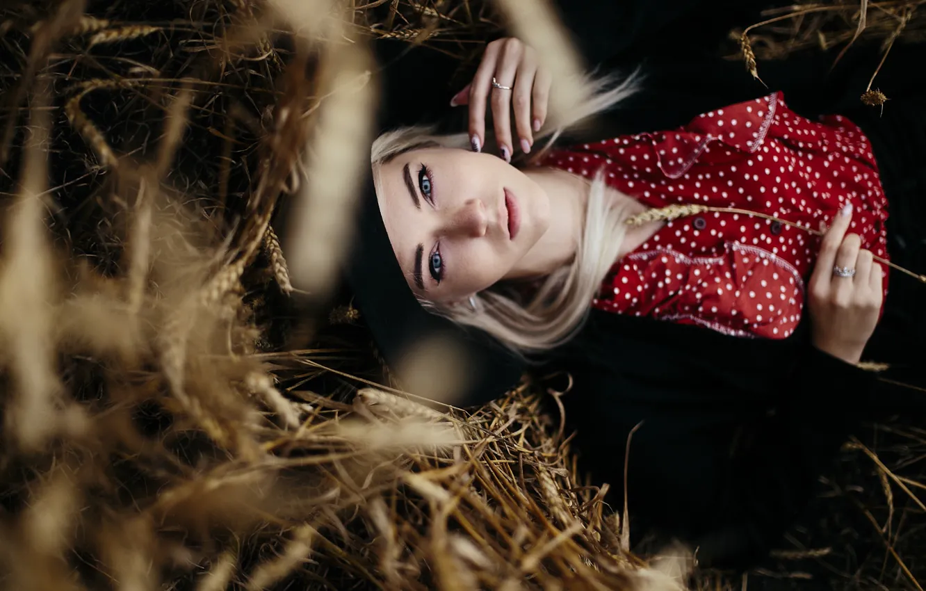 Фото обои girl, long hair, field, hat, photo, blue eyes, model, bokeh