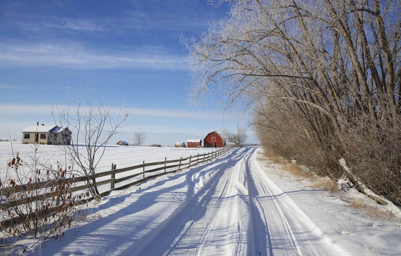 Фото обои зима, дорога, снег, деревья, дом, забор, Канада, Альберта