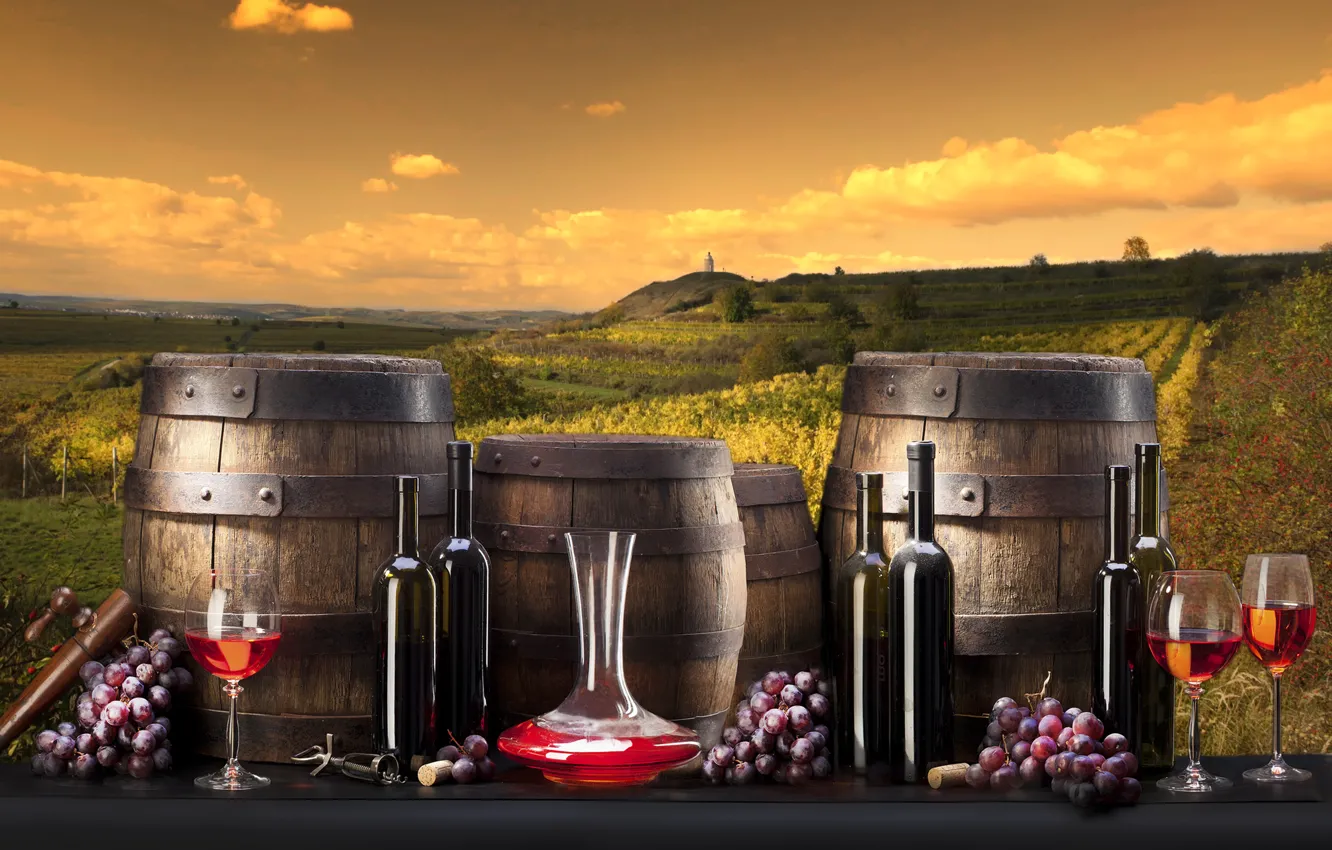 Фото обои вино, виноград, бутылки, бочки, виноградники