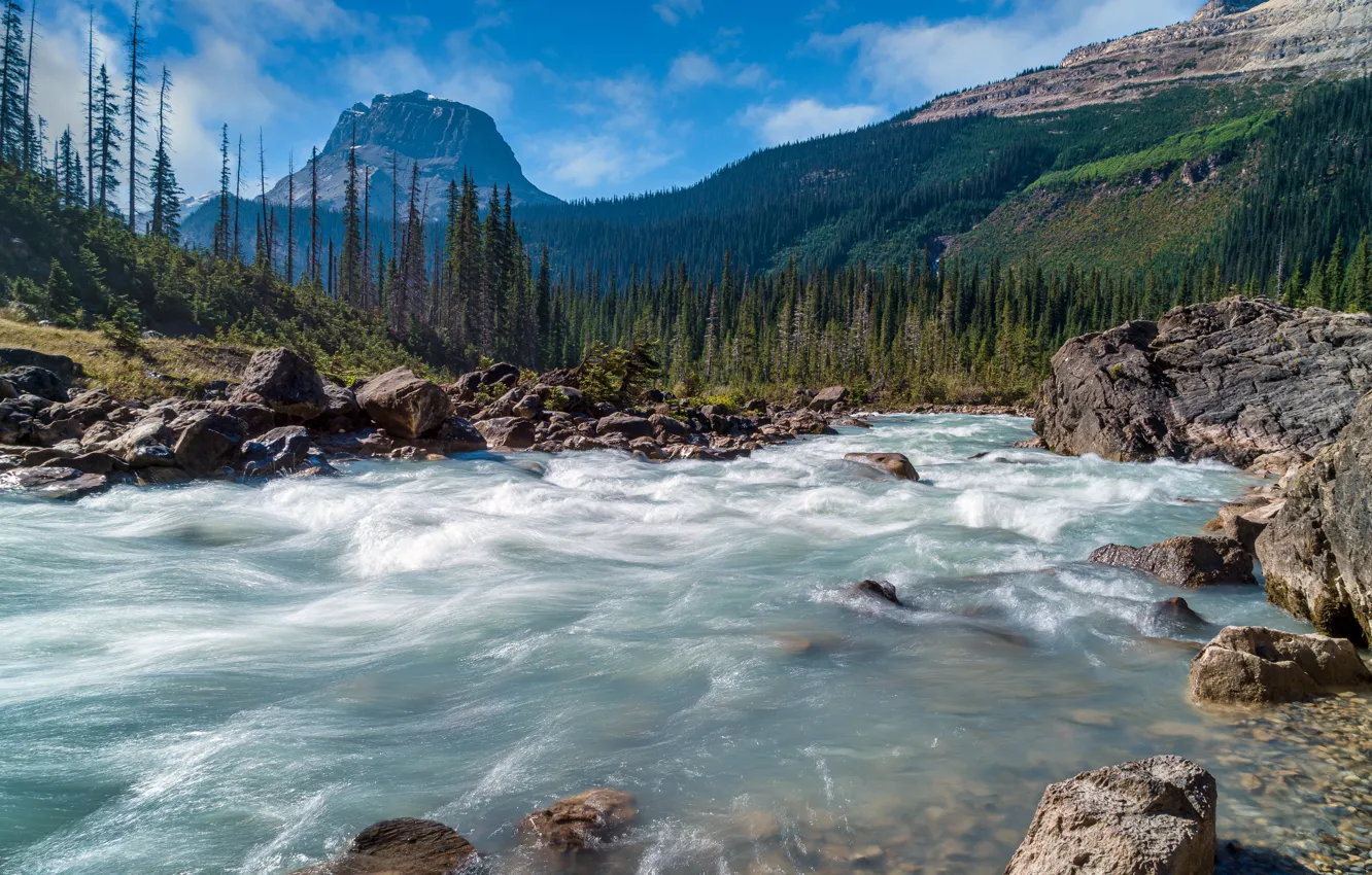 Фото обои камни, British Columbia, канада, леса, реки, парки, Yoho National Park