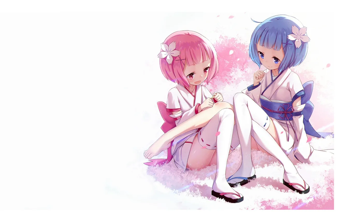 Фото обои белый фон, кимоно, сестры, голубые волосы, розовые волосы, цветок в волосах, лепестки сакуры, белые чулки