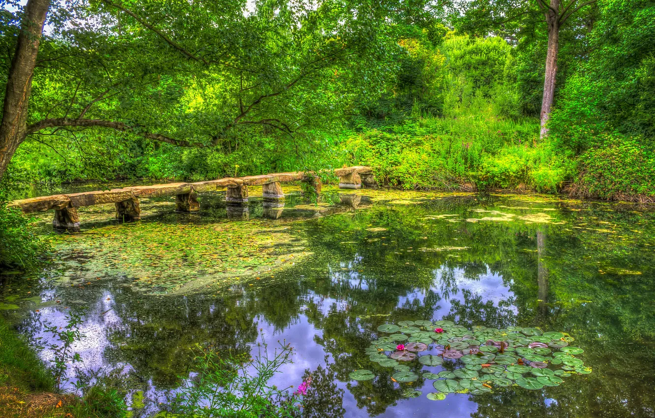Фото обои зелень, мост, пруд, парк, обработка, Великобритания, Nostell