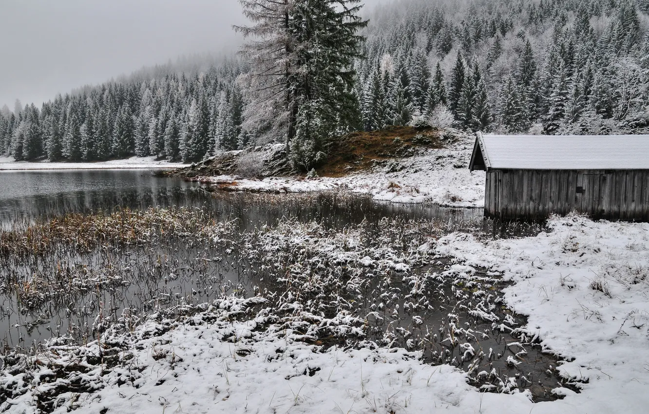 Фото обои зима, снег, река, сарай, ёлки