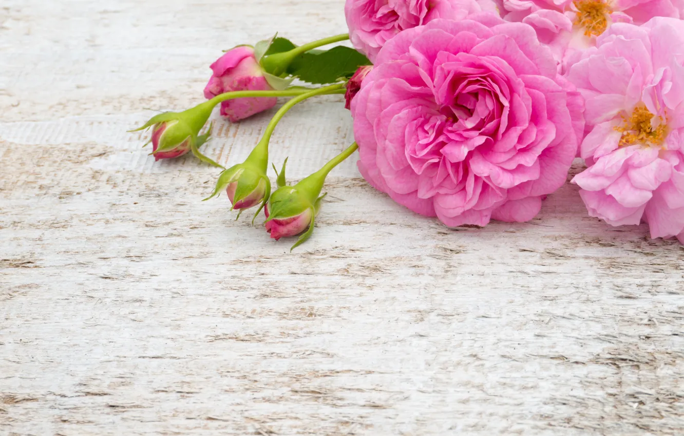 Фото обои цветы, розы, букет, розовые, белые, бутоны, pink, flowers