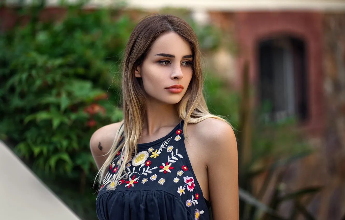 Фото обои взгляд, девушка, портрет, блузка, красивая