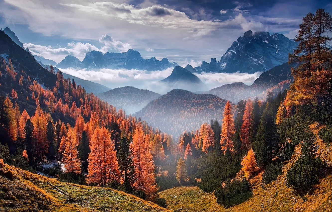 Фото обои осень, лес, небо, облака, деревья, горы, природа, скалы
