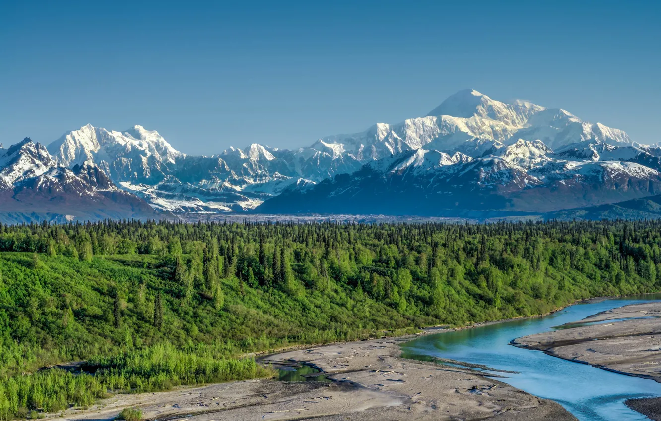 Фото обои лес, горы, река, Аляска, Alaska, Denali National Park, Аляскинский хребет, Национальный парк Денали