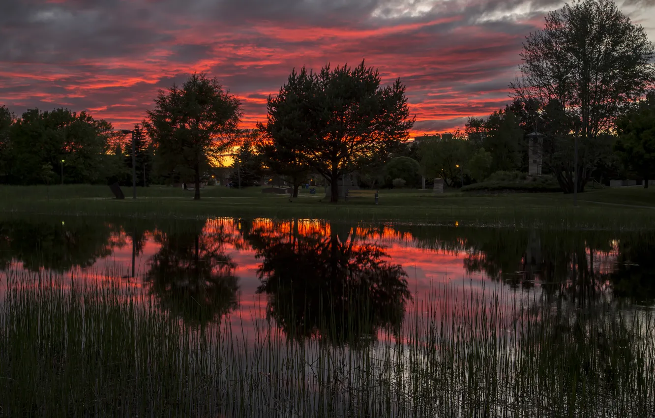 Фото обои рассвет, Деревья, отражение озеро