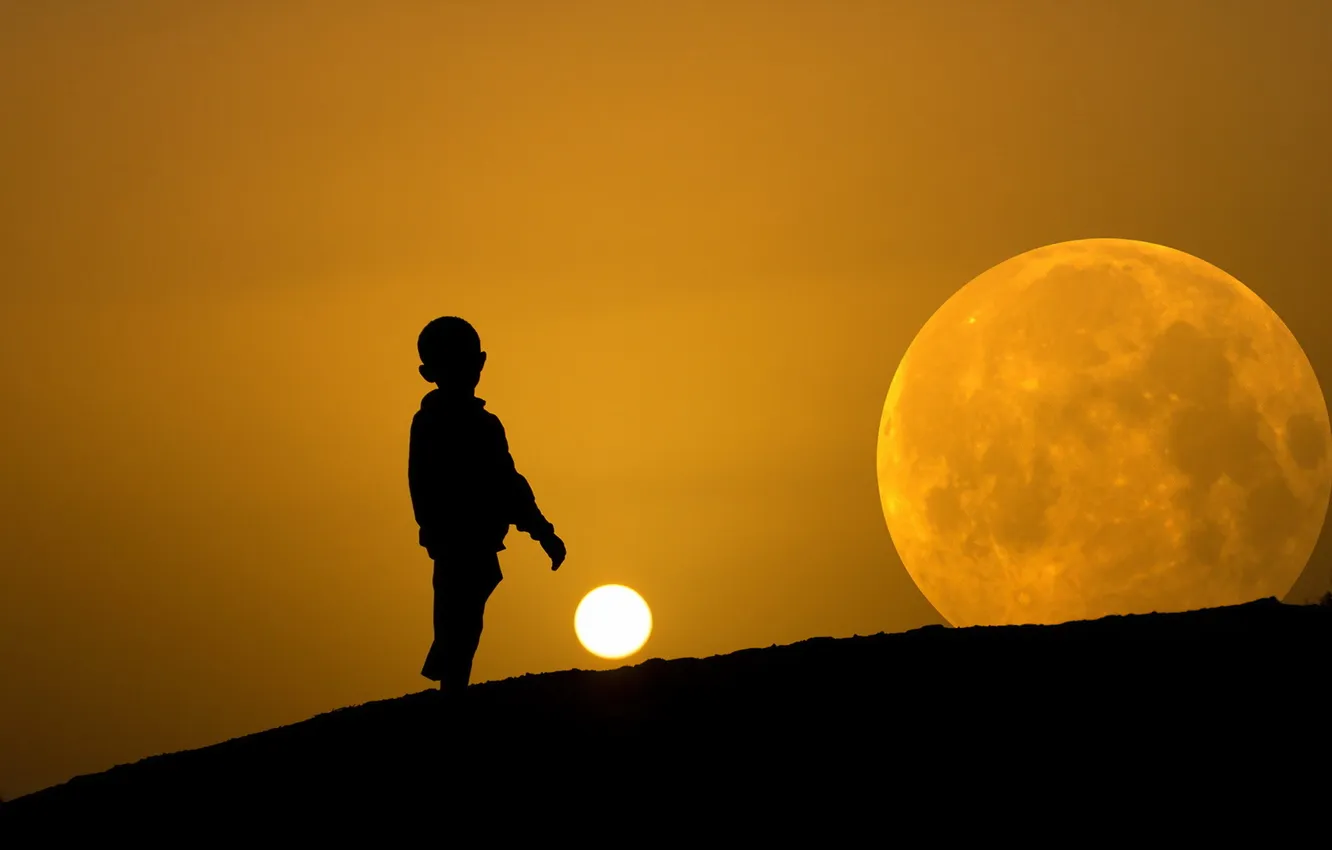 Фото обои небо, луна, силуэт