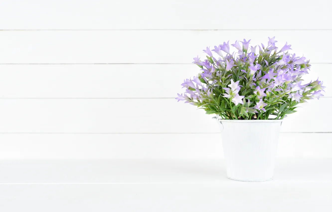 Фото обои белый, цветы, фон, букет, фиолетовые, ведерко