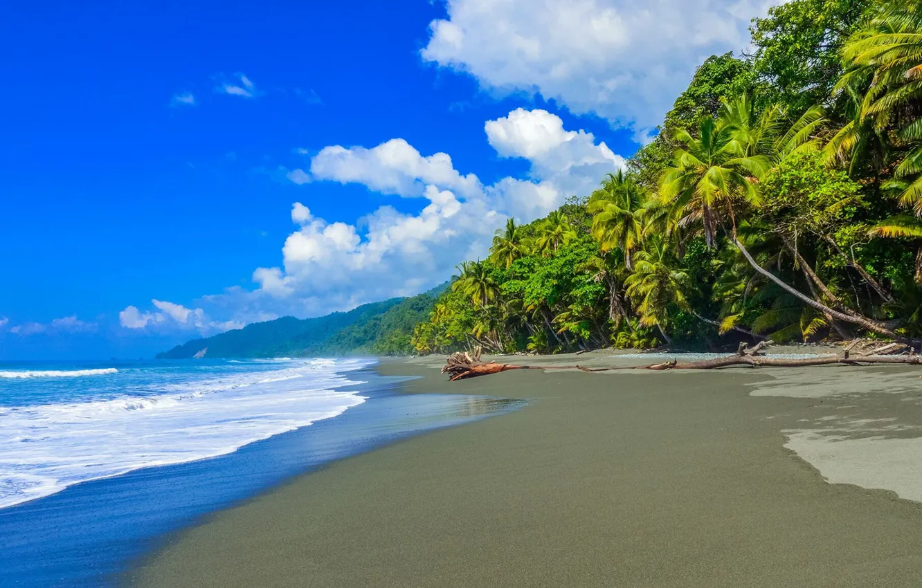 Фото обои море, пляж, облака, пальмы, Карибы, Коста-Рика