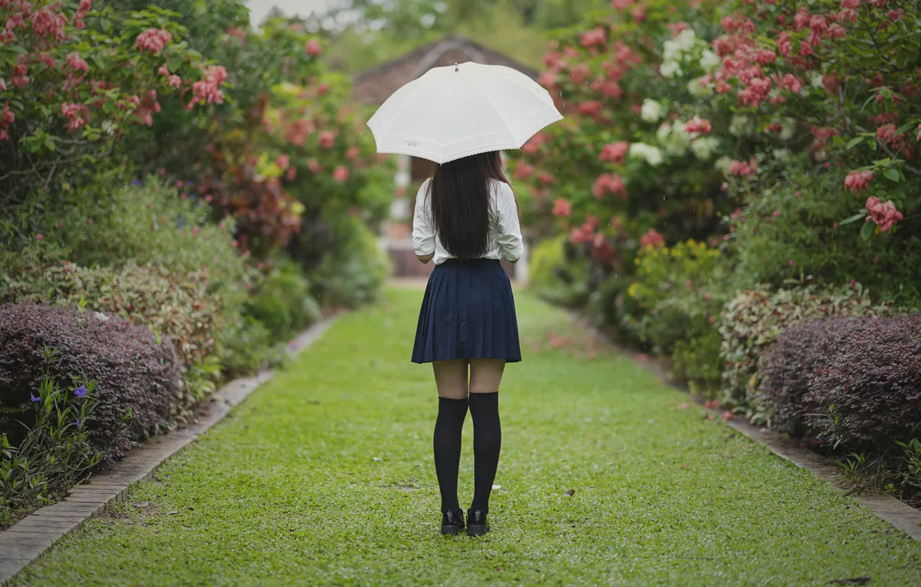 Фото обои девушка, парк, зонтик, волосы, юбка, ножки