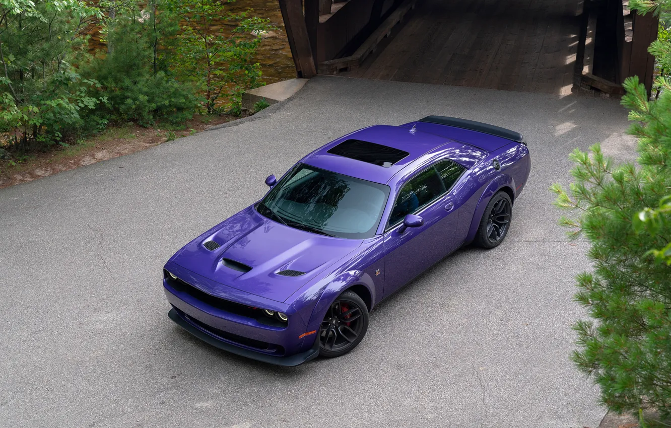 Фото обои фиолетовый, Dodge, Challenger, R-T Scat Pack