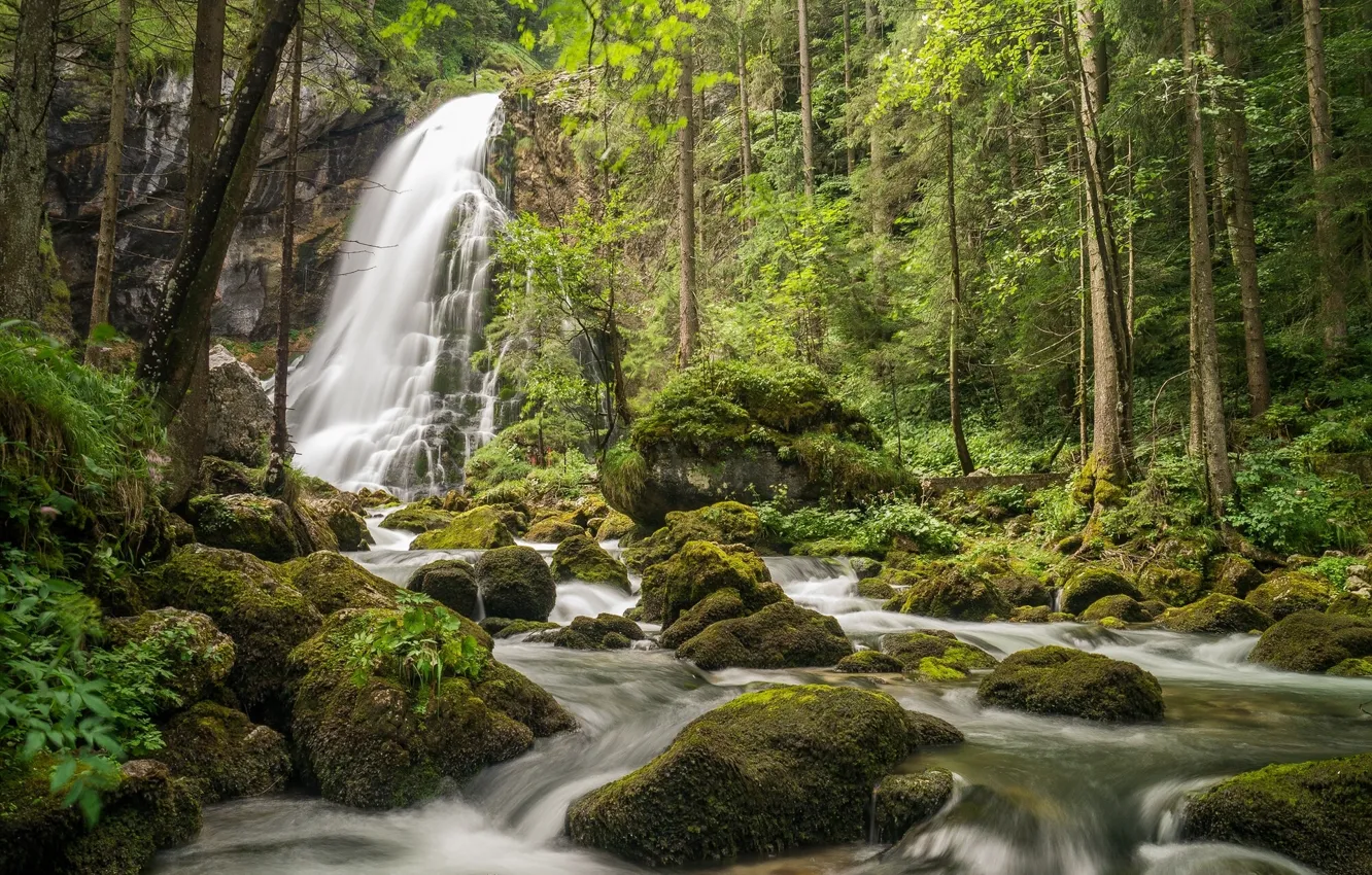 Фото обои лес, деревья, камни, водопад, мох, Австрия, речка, Austria