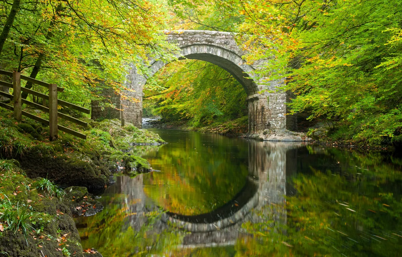 Фото обои осень, лес, деревья, мост, отражение, река, Англия, арка