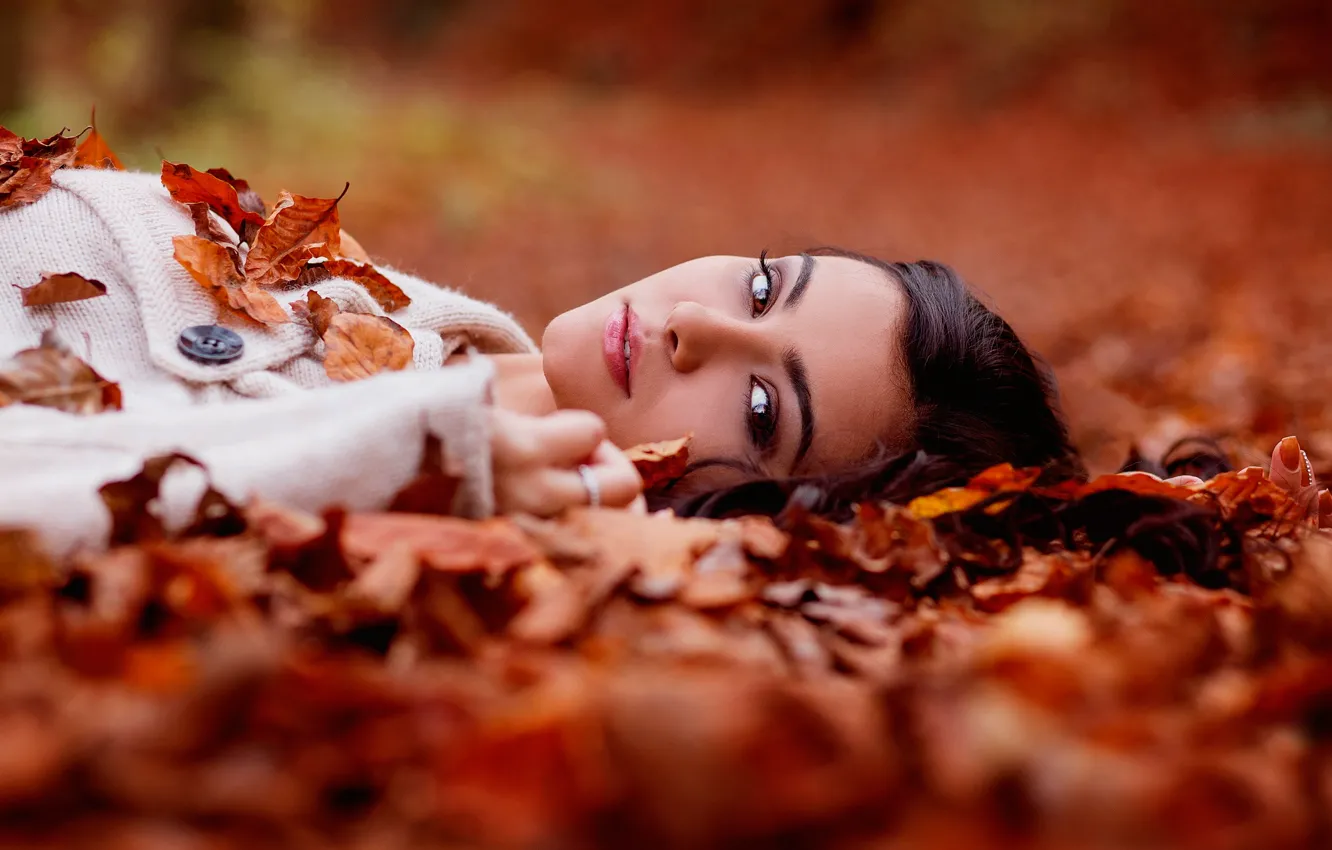 Фото обои осень, листья, портрет, кареглазая, Helena