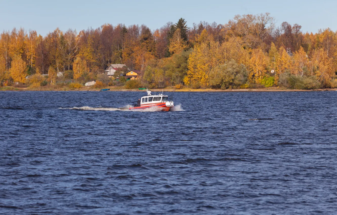 Фото обои осень, катер, boat, RIB, Lider 10, Лидер 10