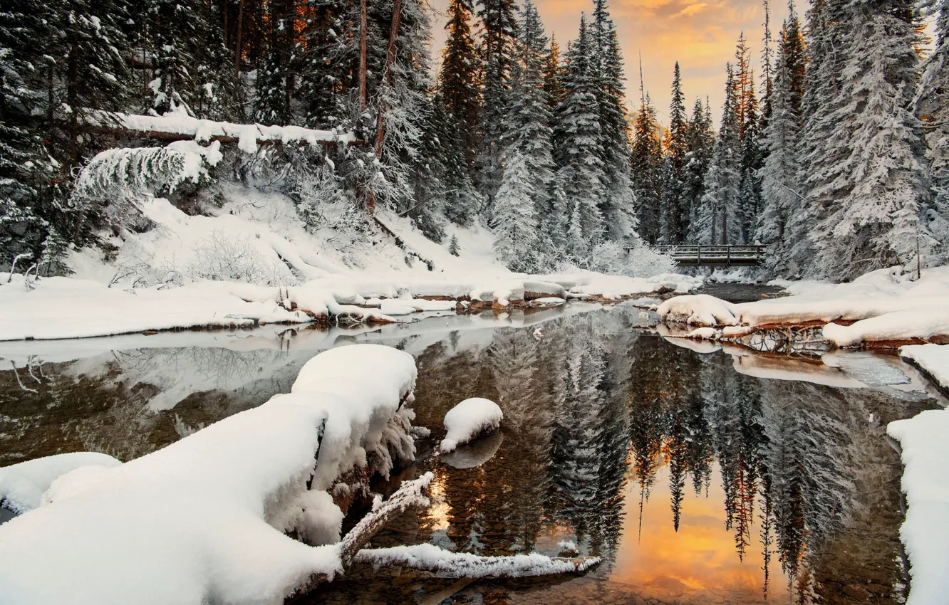 Фото обои зима, лес, снег, закат, озеро, пруд, отражение, берег
