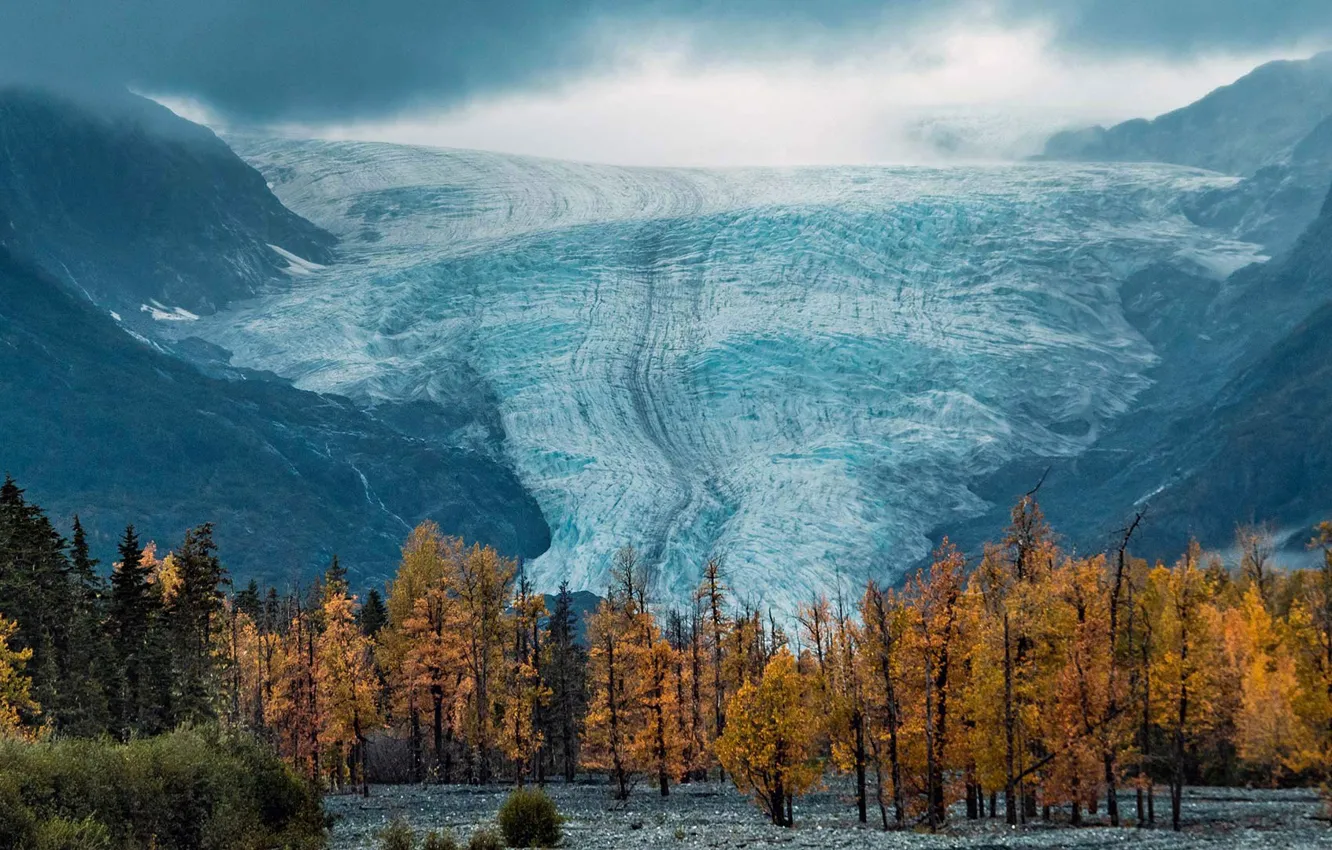 Фото обои ледник, Аляска, США, Национальный парк Кенай-Фьордс