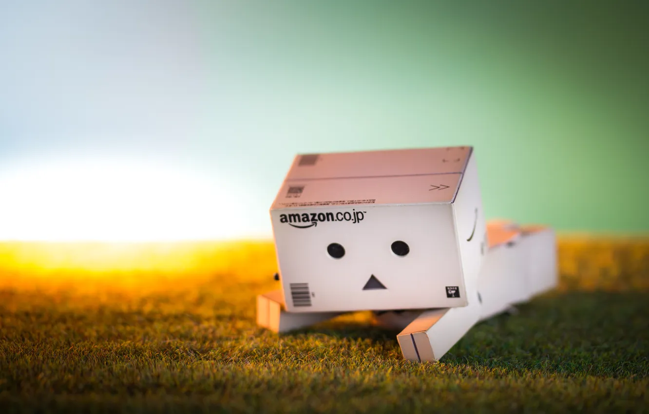 Фото обои трава, Danbo, amazon