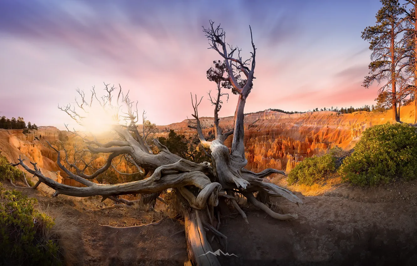 Фото обои usa, utah, bryce canyon