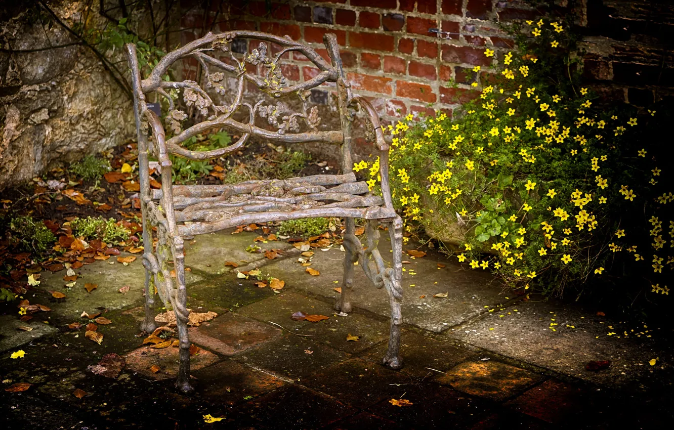 Фото обои flowers, chair, backyard