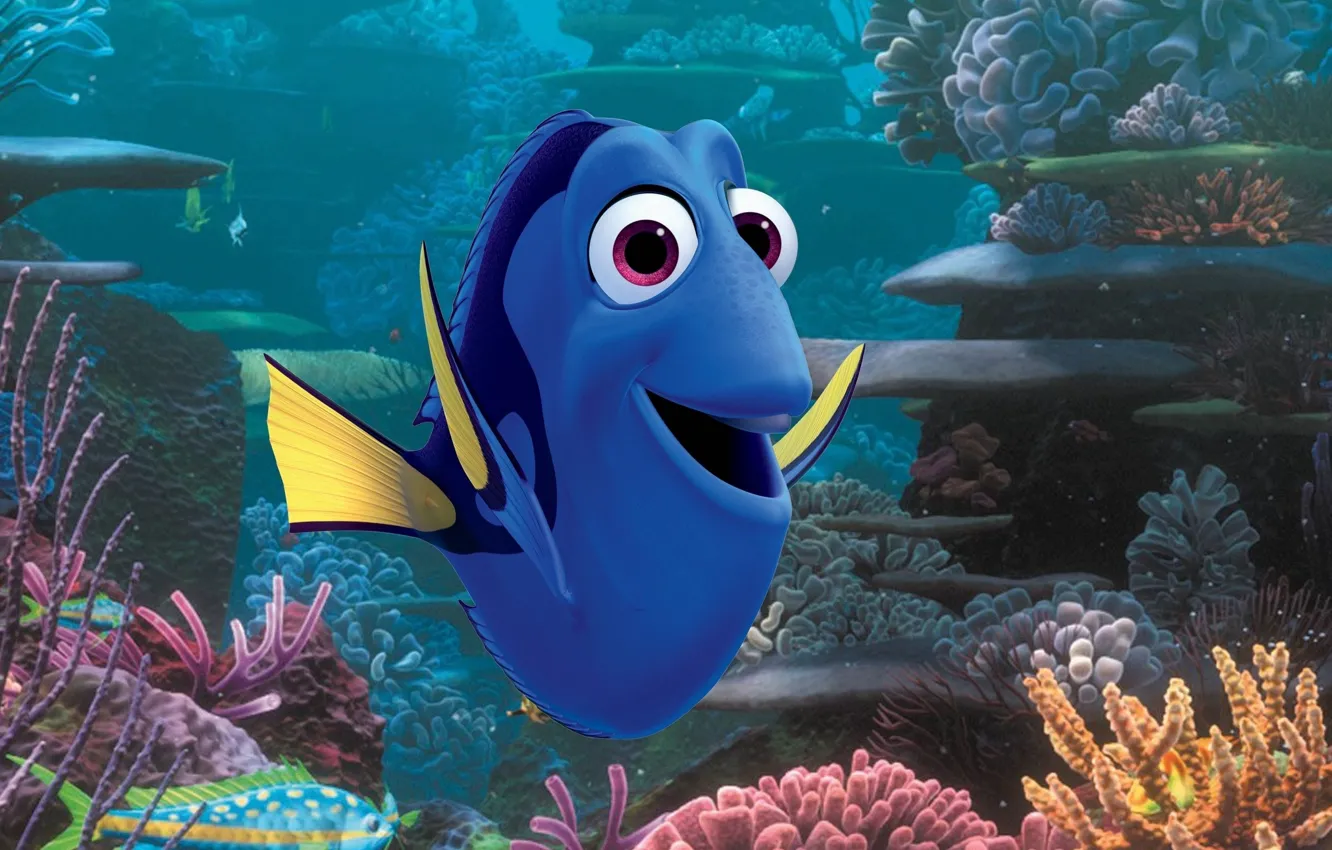 Фото обои colorful, cinema, Pixar, ocean, eyes, movie, animal, fish