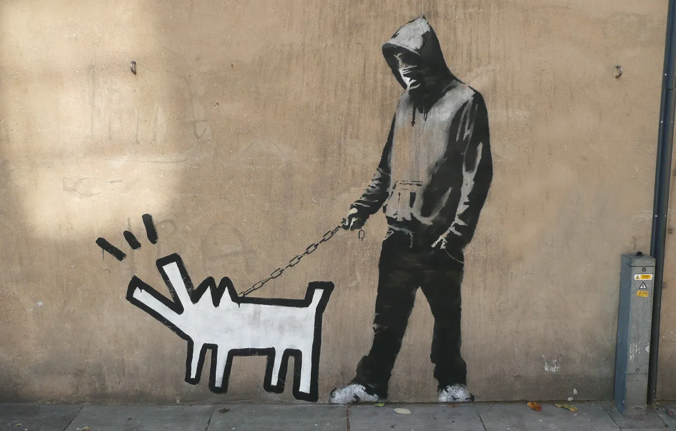 Фото обои Graffiti, Banksy, Haring dog