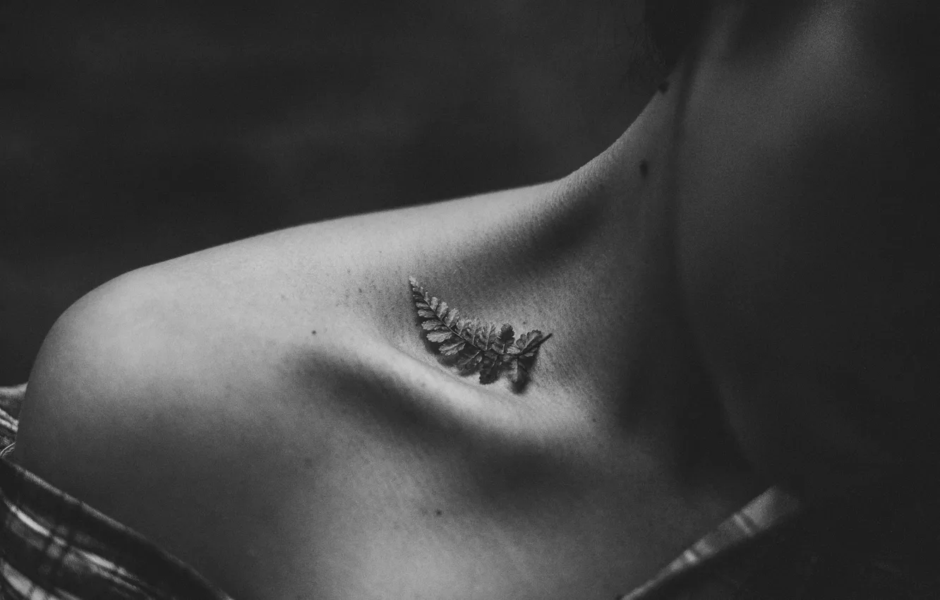Фото обои листья, девушка, листочки, шея, ключицы
