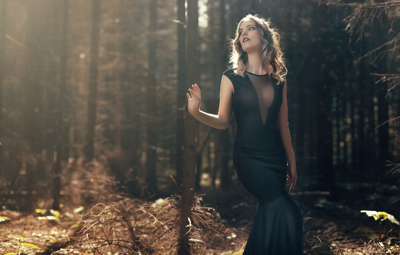 Фото обои лес, девушка, платье, черное, girl, шатенка, model, Nathan Photography