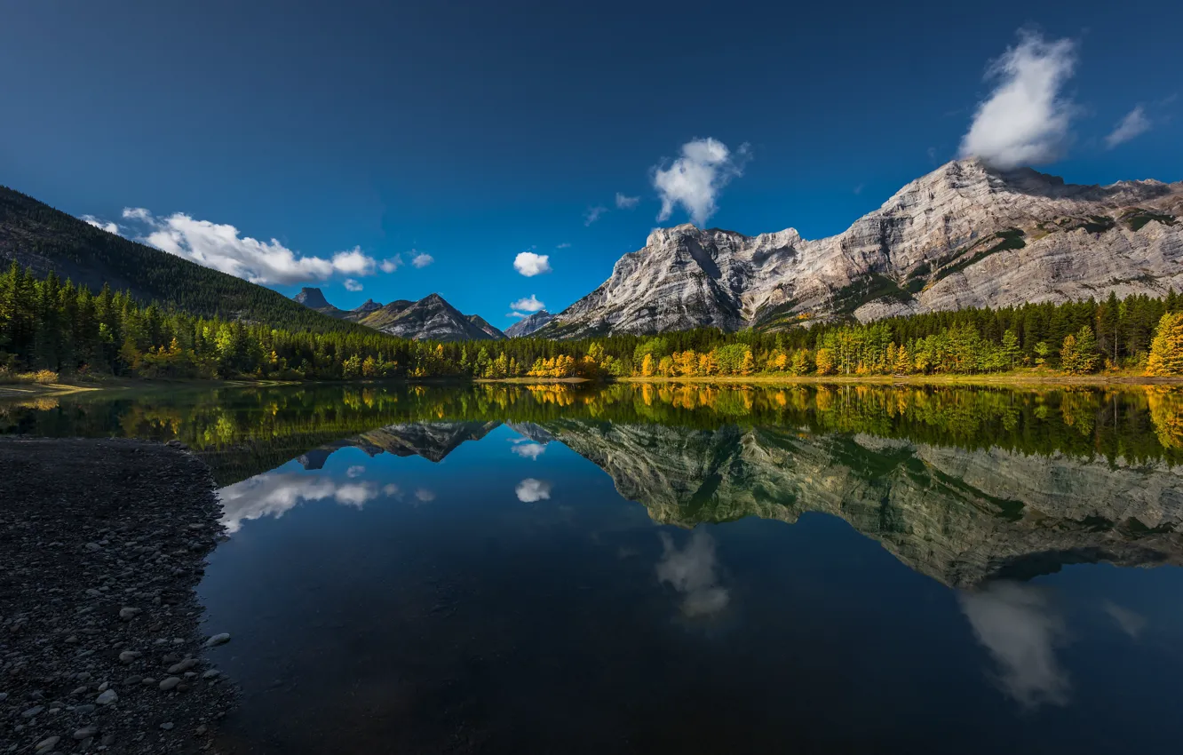 Фото обои осень, лес, горы, озеро, отражение, Канада, Альберта, Alberta