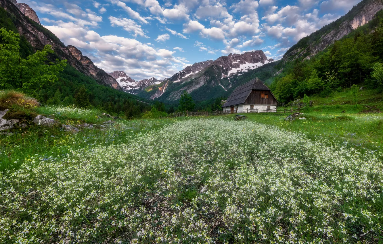 Фото обои цветы, горы, дом, долина, луг, Словения, Slovenia, Юлийские Альпы