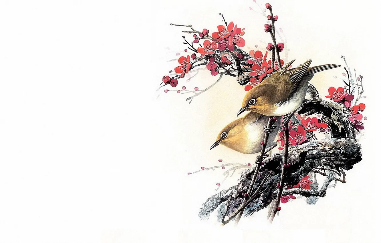 Фото обои цветы, птица, минимализм, ветка, весна, Восток, сакура, мастер