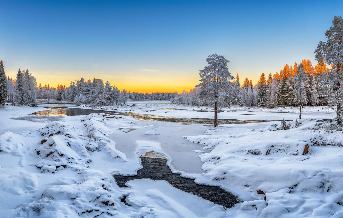 Фото обои зима, снег, деревья, река, Финляндия, Finland, Oulu, Оулу