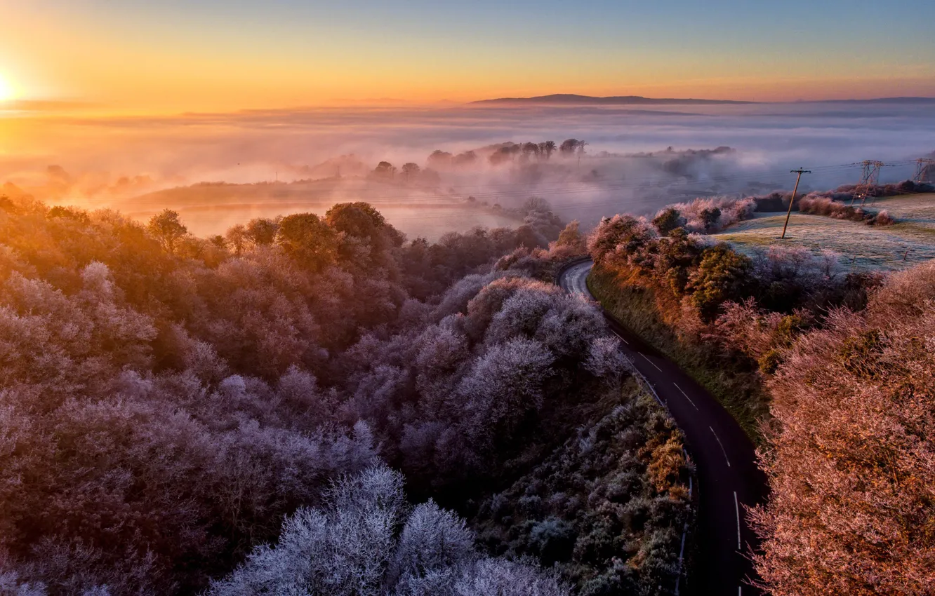 Фото обои road, morning, fog, sunrise, dawn, dew, freeze, winter is coming