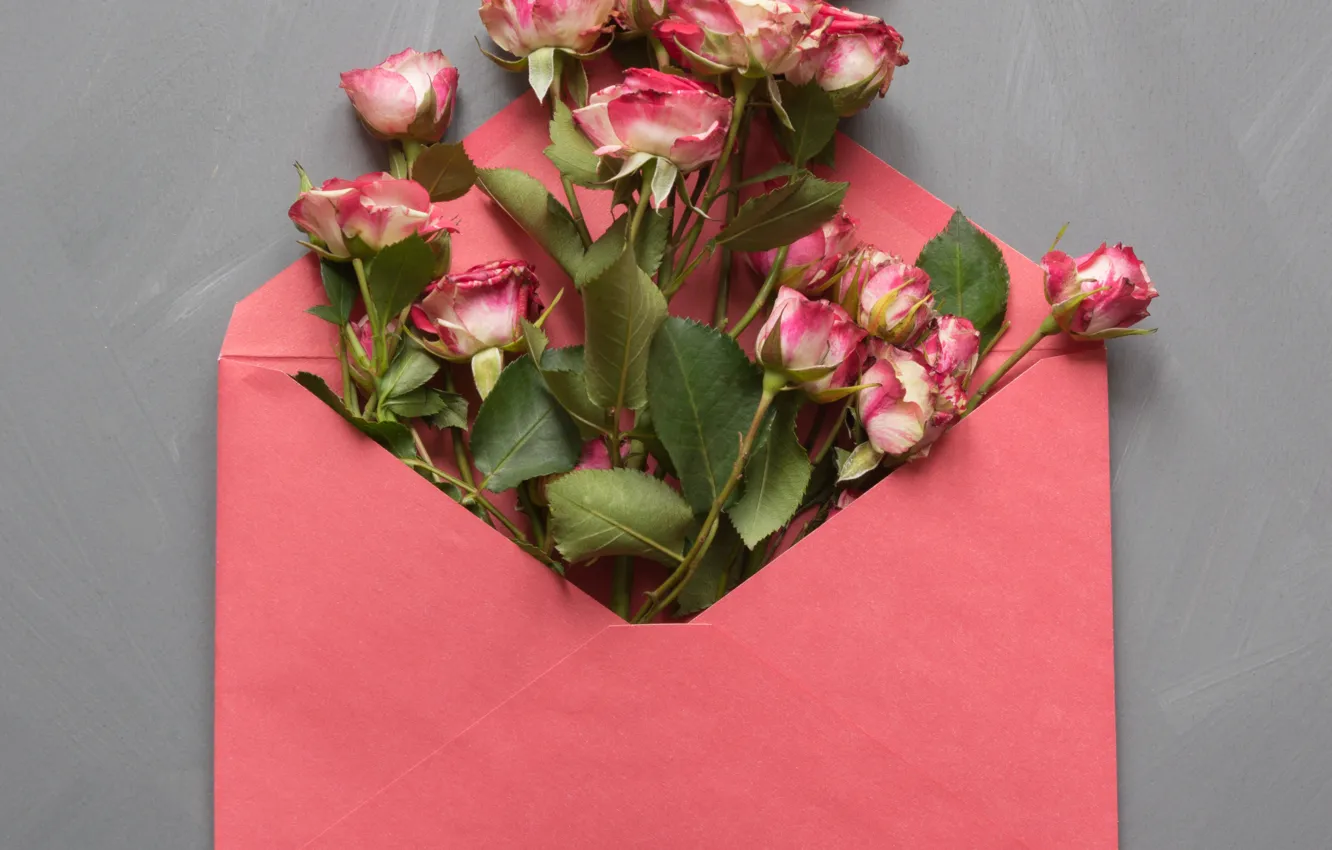 Фото обои цветы, розы, конверт, Lazhko Svetlana