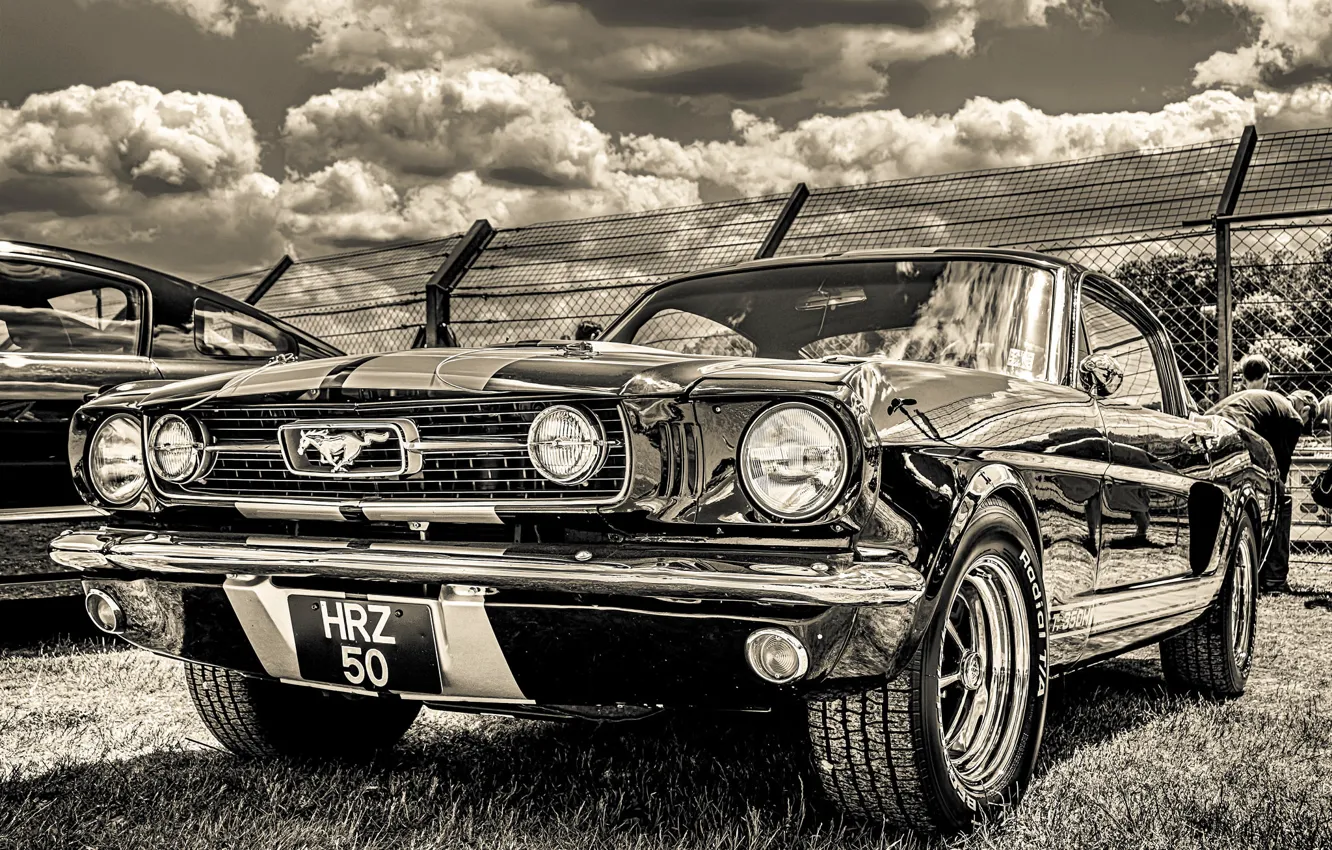 Фото обои Ford Mustang, 1965, передок, GT350H