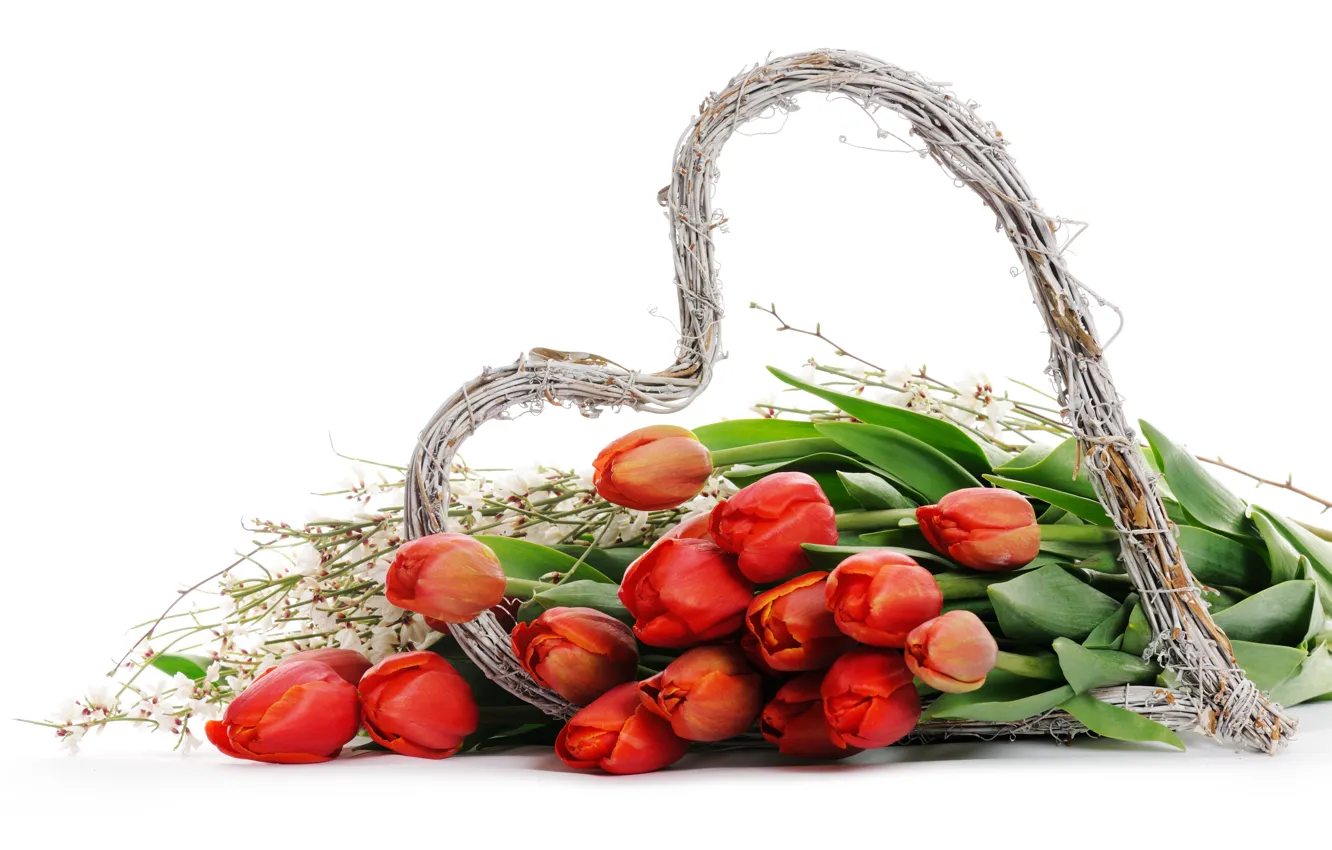 Фото обои цветы, сердца, тюльпаны