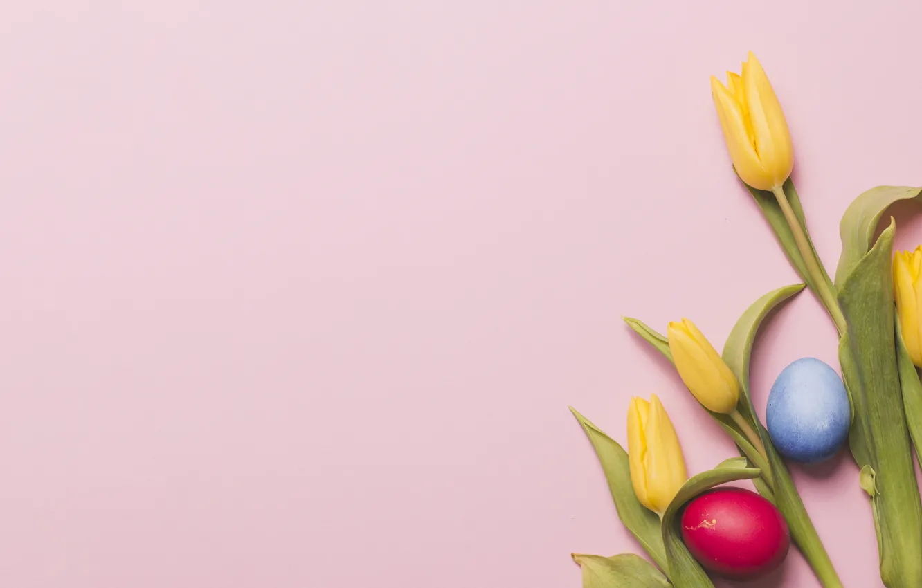 Фото обои яйца, весна, пасха, тюльпаны, Праздник