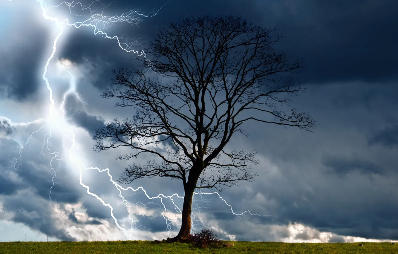 Фото обои гроза, тучи, природа, дерево, молния