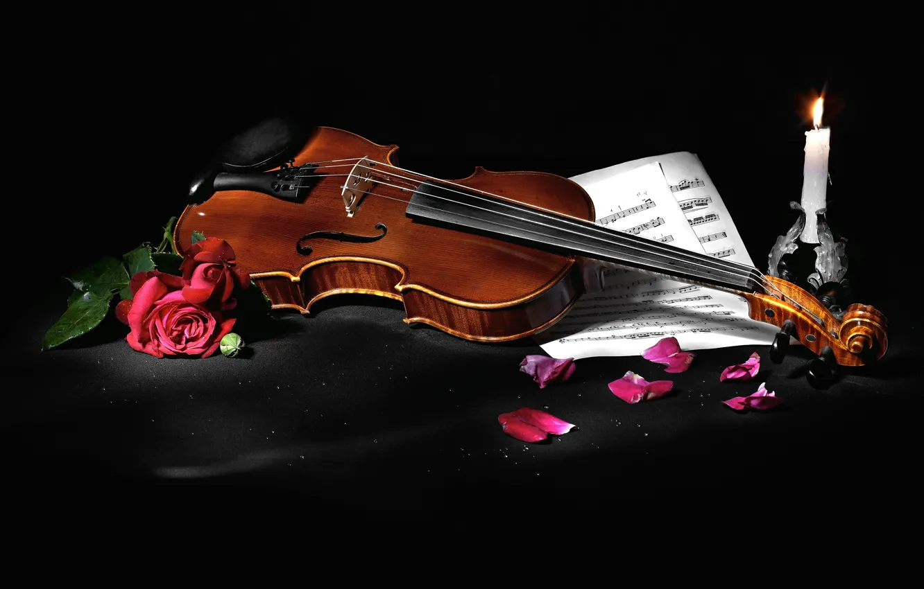 Фото обои цветы, стиль, ноты, музыка, скрипка, розы, свеча, лепестки